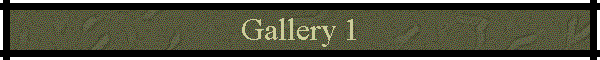 Gallery 1